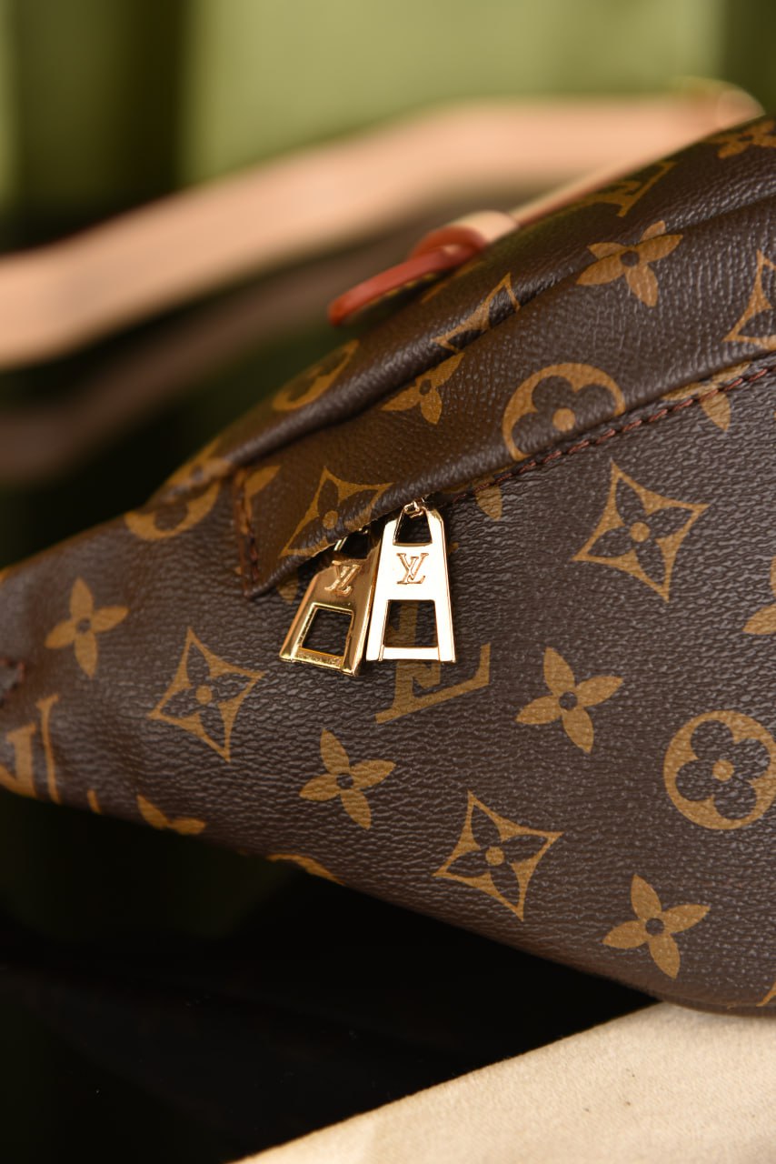 لوي فيتون (6 ألوان) - Louis Vuitton Bumbag