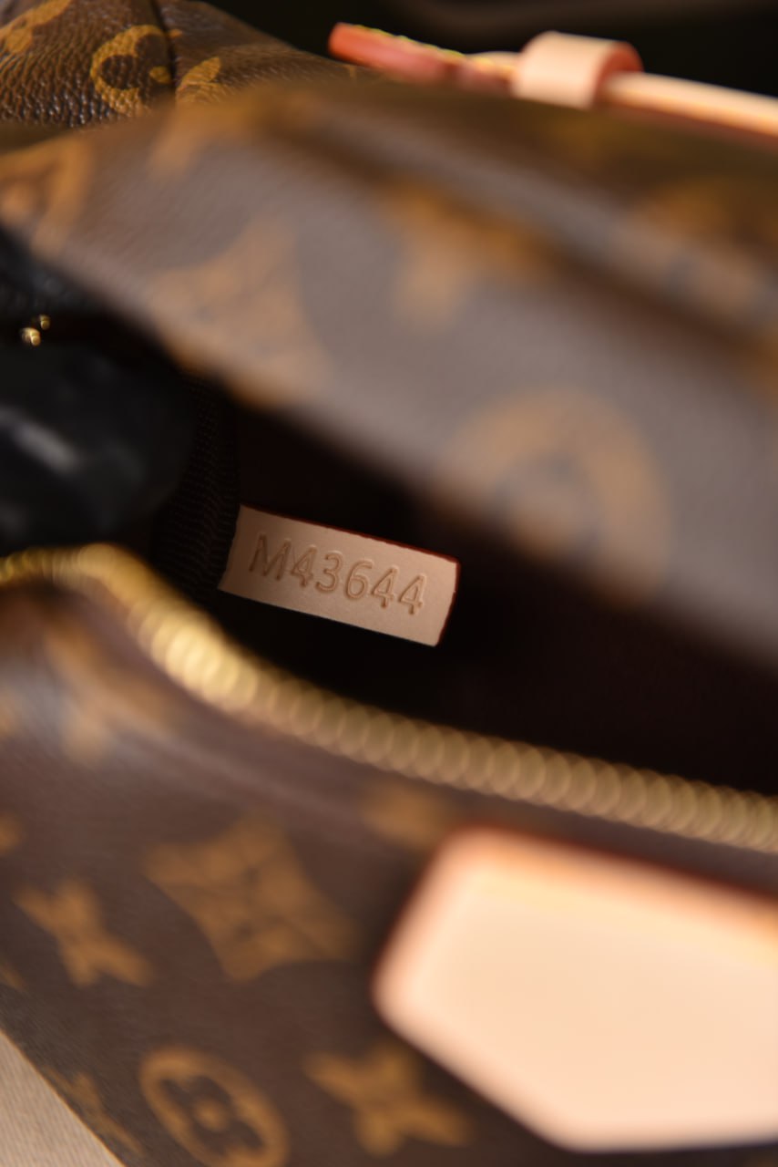 لوي فيتون (6 ألوان) - Louis Vuitton Bumbag